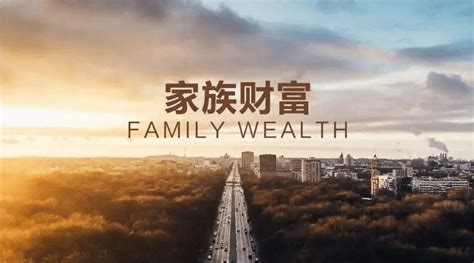报告：中国千万资产家庭206万户，亿级别13万户_富豪_人民币_数量