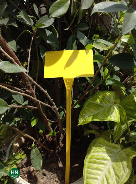 Organics Gardening Plant Name Tag - Set of 10 Plant Markers | T-Type ...
