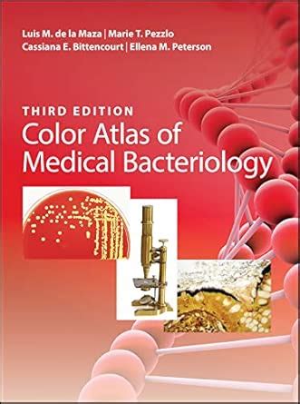 Buy Color Atlas of Medical Bacteriology (ASM Books) Book Online at Low ...