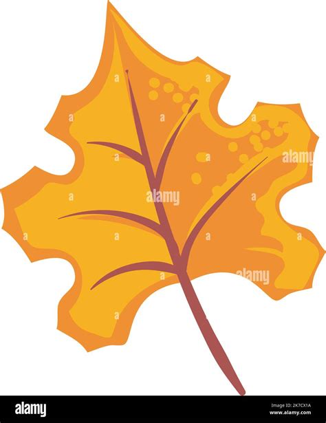Image result for Fall Leaf Designs