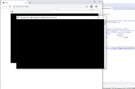 Image result for Chrome Options Selenium Java Dependency