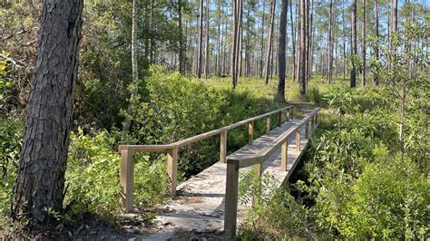 Pitt and Sylvan Springs Recreation Area – Florida Hikes