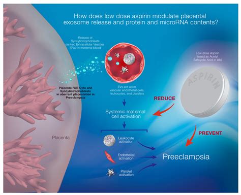Aspirin Mechanism Of Action