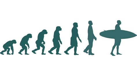 Surfing History: The Origin of Surfing Waves - Surf Indonesia