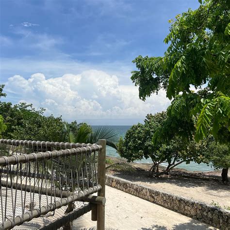 Dr. Vanessa | Gut Health & Women’s Health Naturopathic Doctor | "Tia Vane LOVESSS 💩" ⁠ ⁠ ...is ...