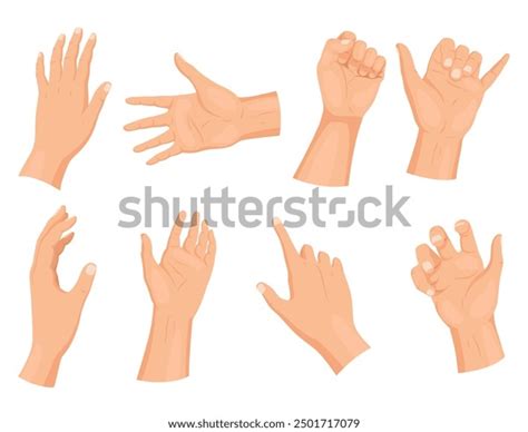 Image result for Normal Hand