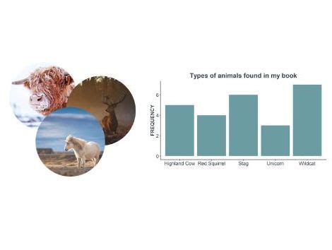 Image result for Data Visualization with Python Bar