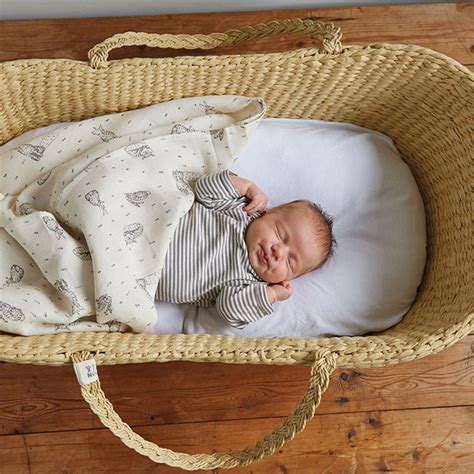 Best Bassinets Moses Basket at Sherlyn Weyer blog