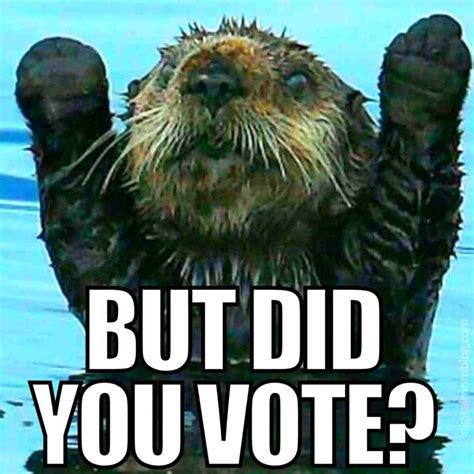 Vote Memes Clip Art 的图像结果