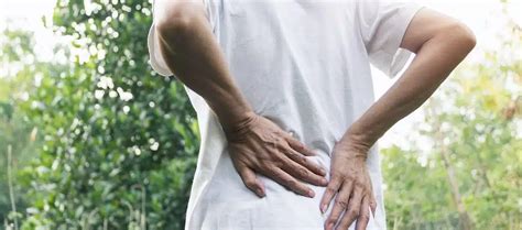 Bulging Disc Example 的图像结果