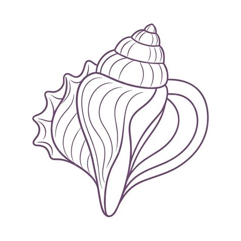 Image result for Simple Conch Shell Drawing