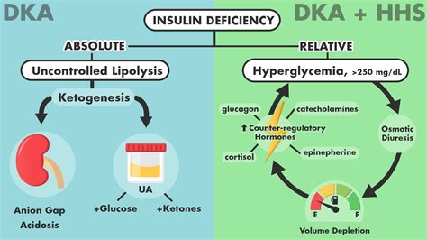 Diabetic Ketoacidosis And Hyperosmolar Hyperglycemic Comparison Of
