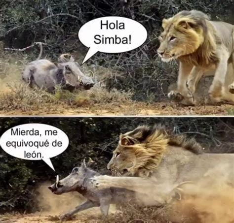 Image result for Simba Meme