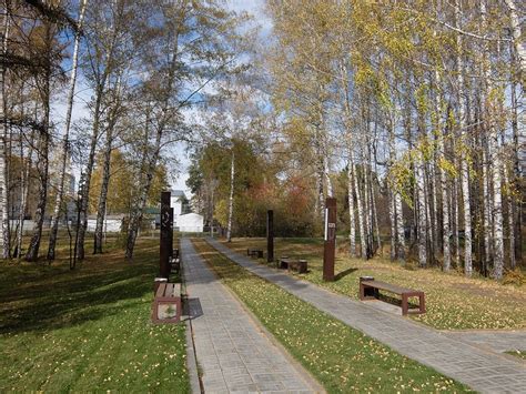 Золотая осень в академгородке | Новосибирский академгородок | Улицы ...