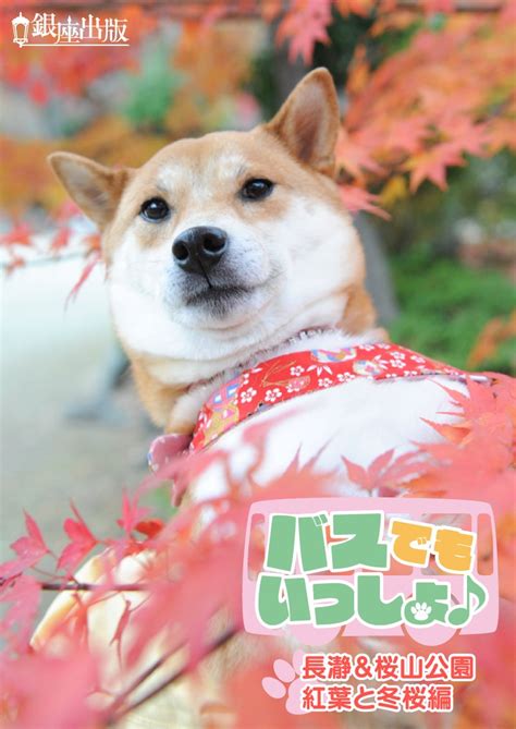 Bus demo issyo Nagatoro and Sakurayama kouen Momiji to Fuyuzakura hen ...