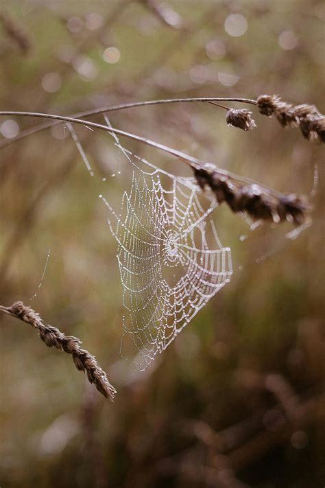 Money Transparent Background 的图像结果