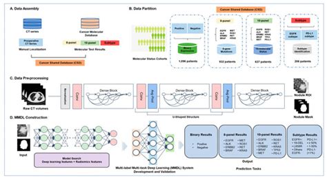 Radiogenomic System for Non-Invasive Identification of Multiple ...