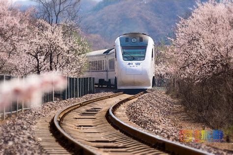 “开往春天的列车”乘坐S2线去京郊赏花_北京旅游网