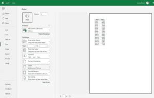File Explorer Print Preview 的图像结果