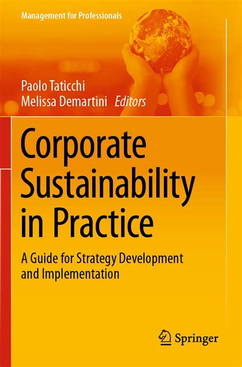 Buy Corporate Sustainability in Practice: A Guide for Strategy ...