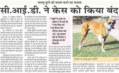Petition · Justice for Boxer dog Scotchy - Sukanya Kadyan - India ...