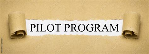 Image result for Pilot Program One Page Icon