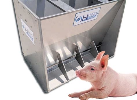 Pig Hog Double Side Stainless Steel Feeder Trough