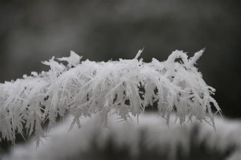 Winter Nature 的图像结果