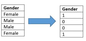 Dummy Variable Examples 的图像结果