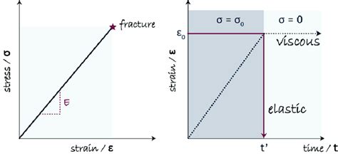 Elastic Strain 的图像结果