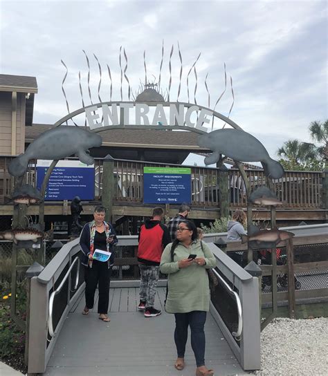 Manatee Viewing Center at Tampa Electric’s Big Bend Power Station