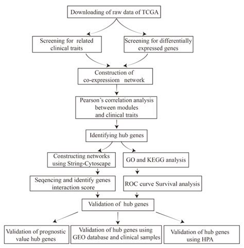 Image result for Python Flowchart Examples Topic Wise Data Collection