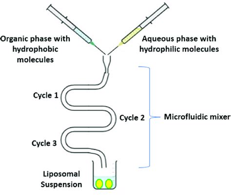 Injection Method Tutorial 的图像结果