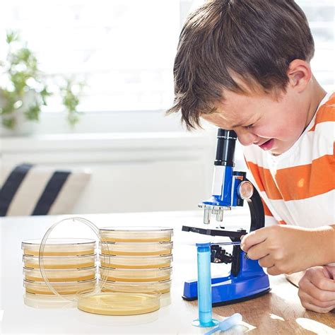 Revanak Bacteria Science Kit Petri Dishes with Agar and India | Ubuy