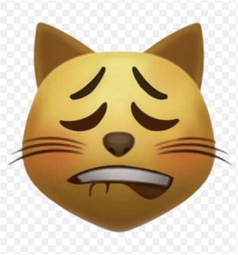 Image result for How Do Programmers Remember Code