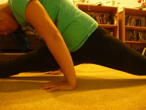 Tutorial for Splits 的图像结果