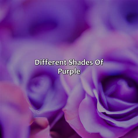 Image result for Blue Name Code