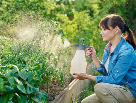 7 Natural Pest Control Secrets for a Thriving Summer Garden