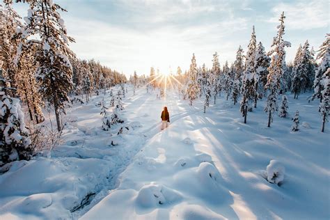 Best Winter Activities for Lapland, Sweden