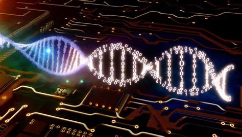 Image result for Applications of Genetic Algorithm Using Maths