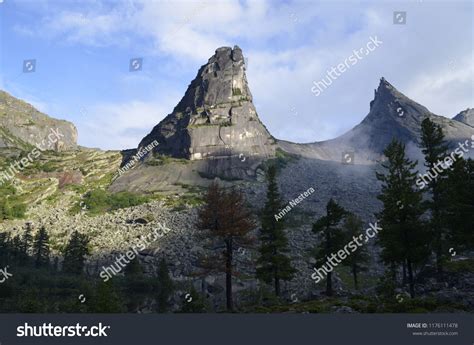 Parabola In Nature Examples