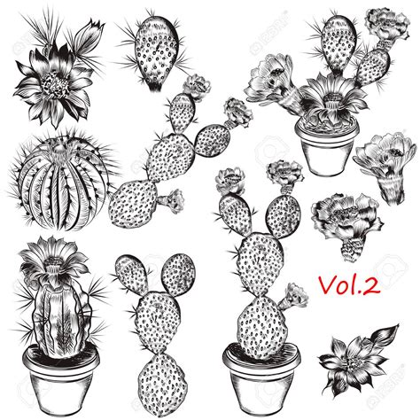 Potted Cactus Drawing at GetDrawings | Free download