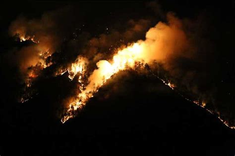 四川雅江森林火灾1500多人灭火 过火面积已66公顷|森林火灾|四川雅江|救援_新浪新闻