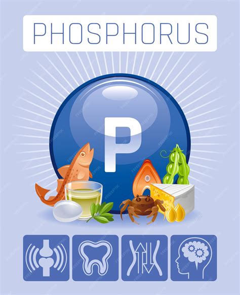 Premium Vector | Phosphorus P mineral vitamin supplement icons. Food ...