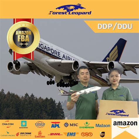 Air Freight Transport Cargo Tracking Agents Turkish Airline DDP ...