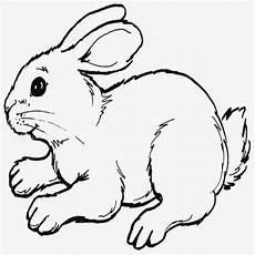 ausmalbilder hasen kostenlos hase zum ausdrucken neu 36 skizze hasen malvorlagen zum ausmalbilder hasen kostenlos hase zum ausdrucken neu 36 skizze hasen malvorlagen zum