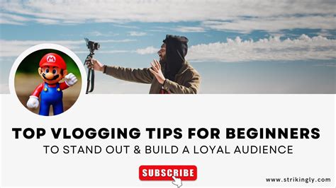 Vlogging Tips Beginners 的图像结果