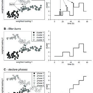 Image result for Normal Phase Grouper