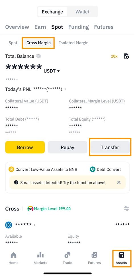 How Are Liquidations Triggered on Binance Margin? | Binance Liquidated ...