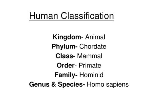 Image result for Human Classification